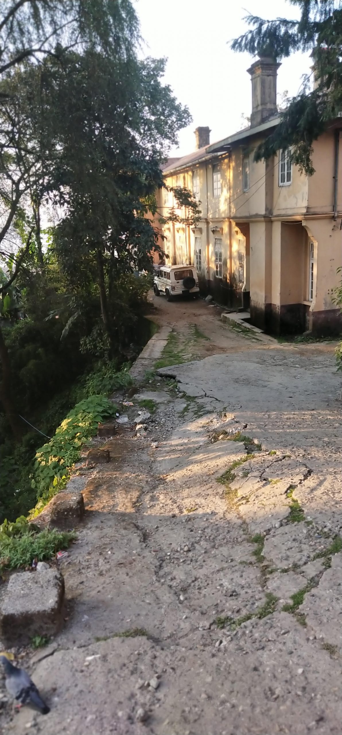 Read more about the article  रेडक्रस बिल्डिङ जाने बाटो जोखिम अनि जिर्ण अवस्थामा