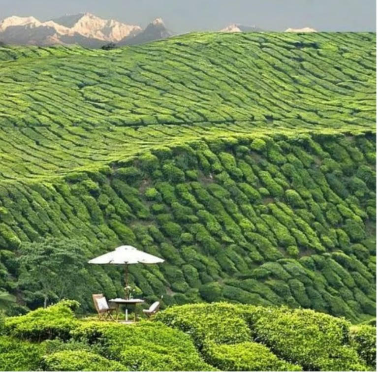 Read more about the article पहाड़का चियाबारीहरूमा समस्याको थुप्रो आन्दोलनको तयारीमा श्रमिक स‌ङ्गठनहरू