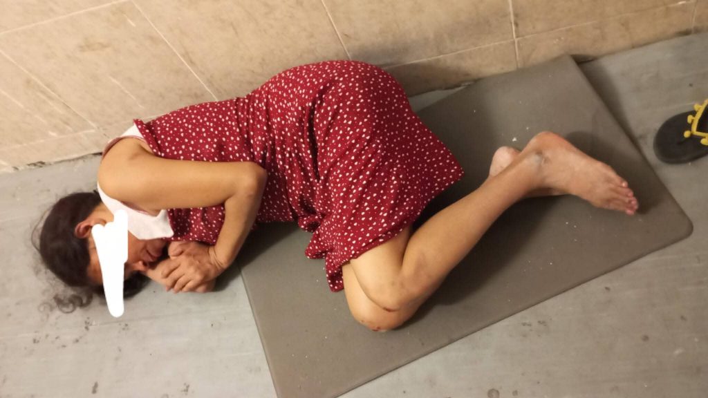 Maya Seva organization