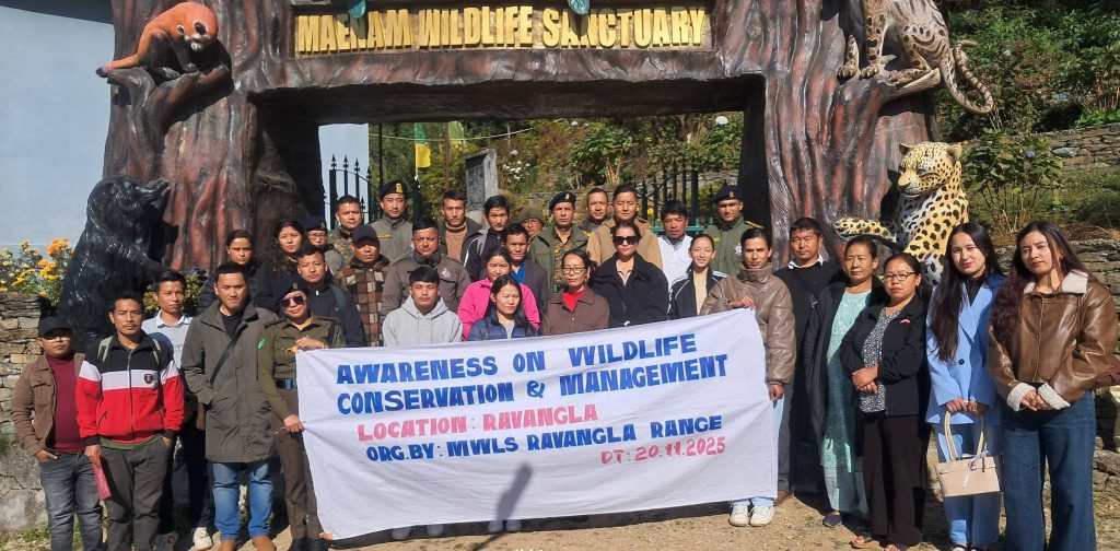 wildlife conservation and management