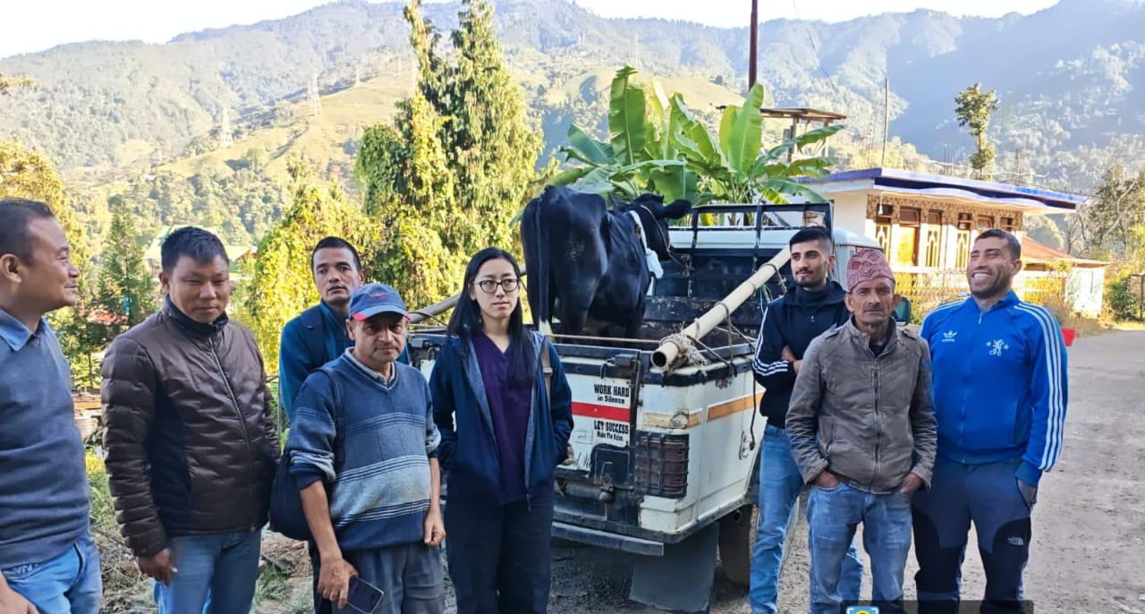 Read more about the article गाई गुमाउनेहरुलाई आशा गाईको सहयोग 