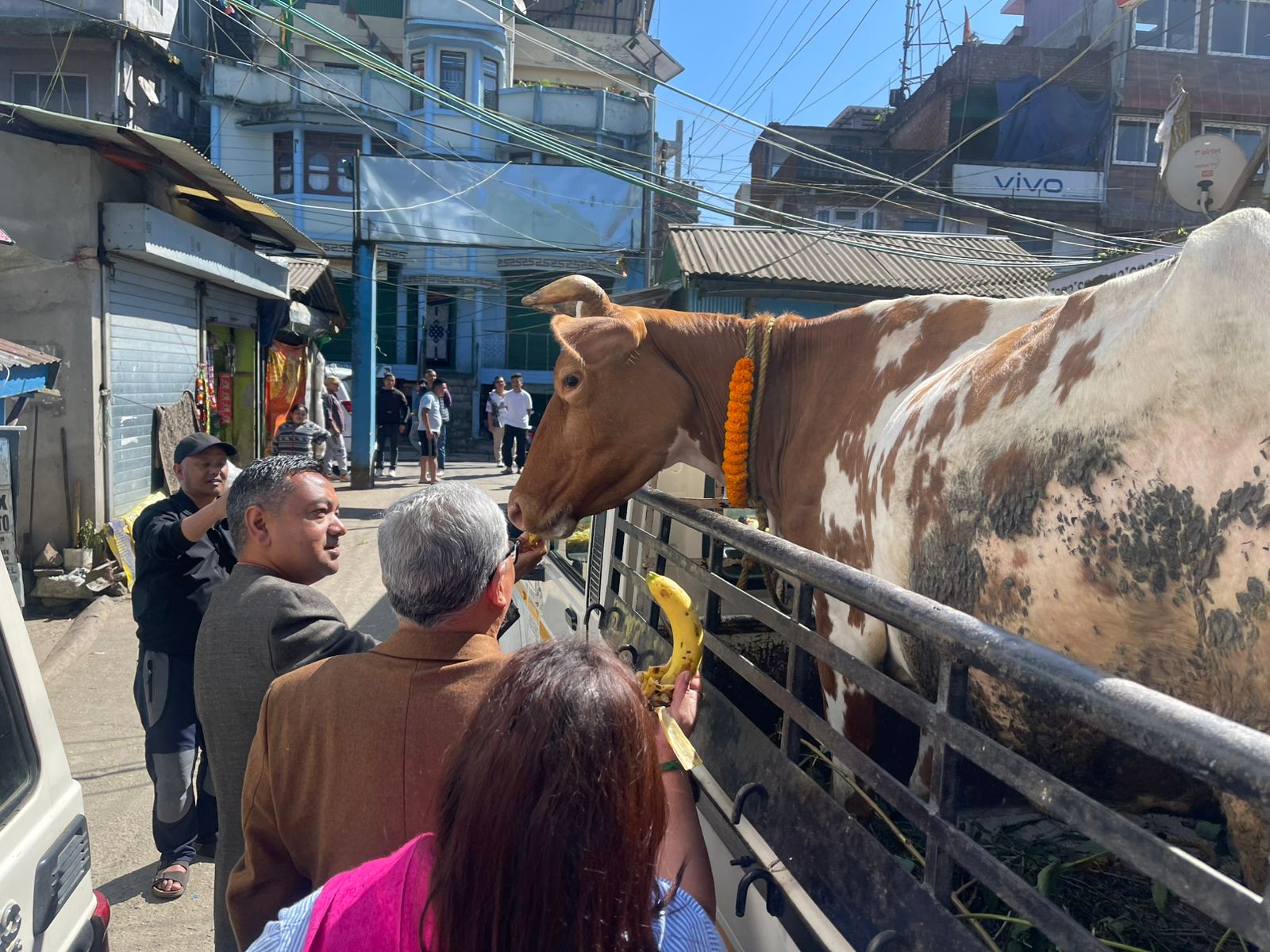 Read more about the article आशा-गाई परियोजना अघि सर्दै विक्रम गाउँ-वस्तीसम्म