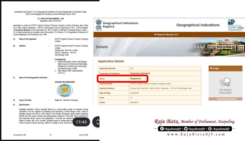 Darjeeling Mandarin Orange receives official GI tag