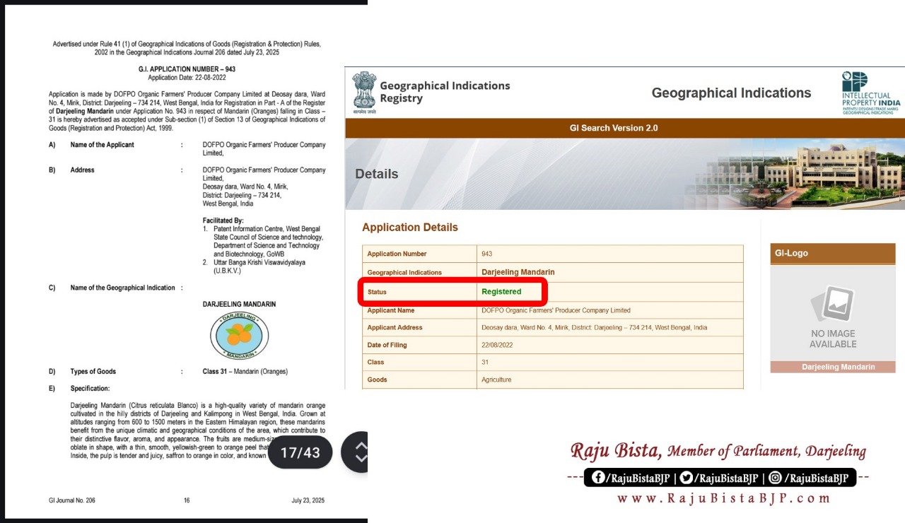 Read more about the article दार्जीलिङ मन्डारिन ओरेन्जलाई आधिकारिक जीआइ ट्याग प्राप्त