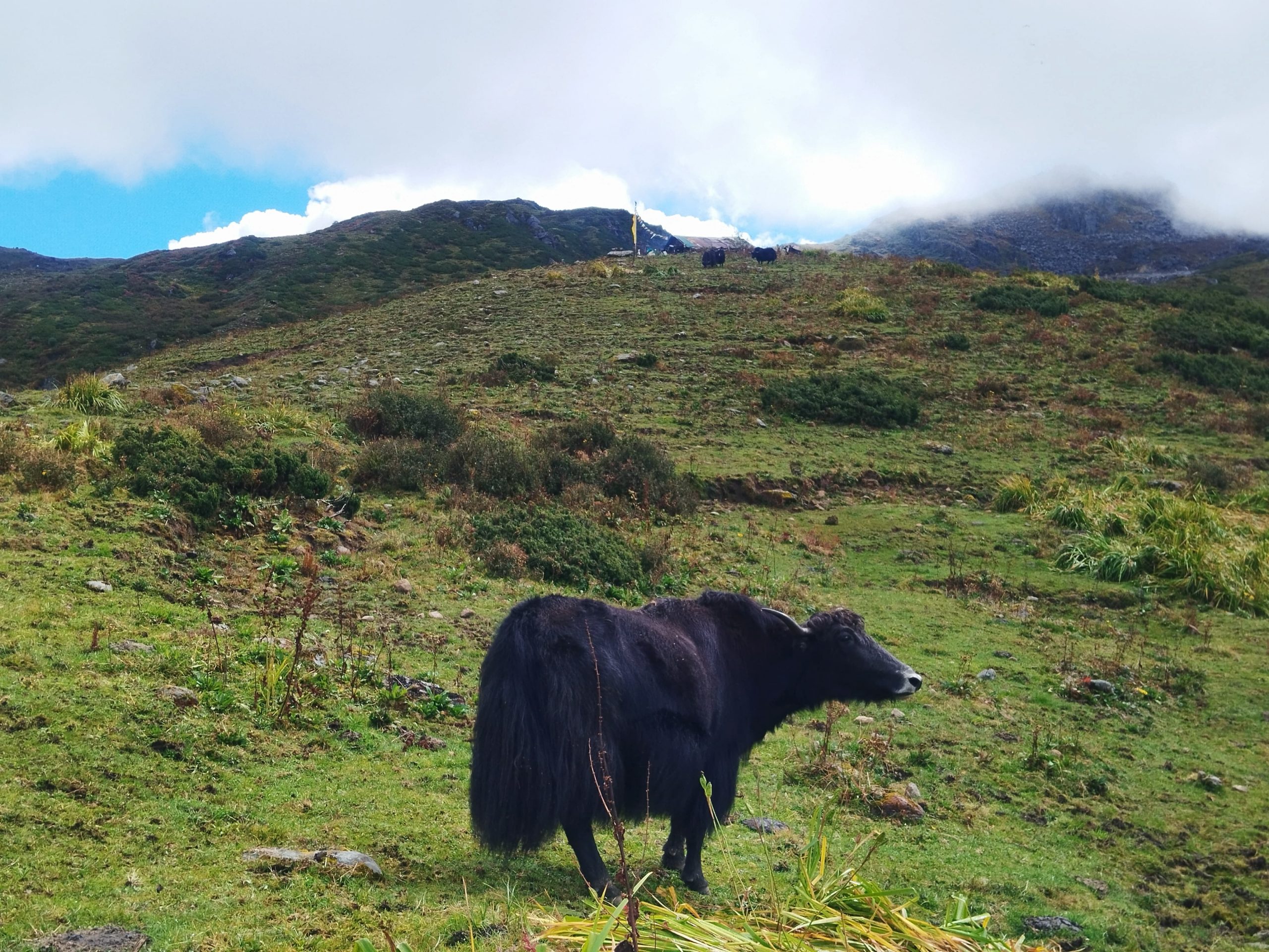 अन्तर्राष्ट्रिय पर्वत दिवस 2025- हिमालयको जिवन र पर्वत प्रतिको माया