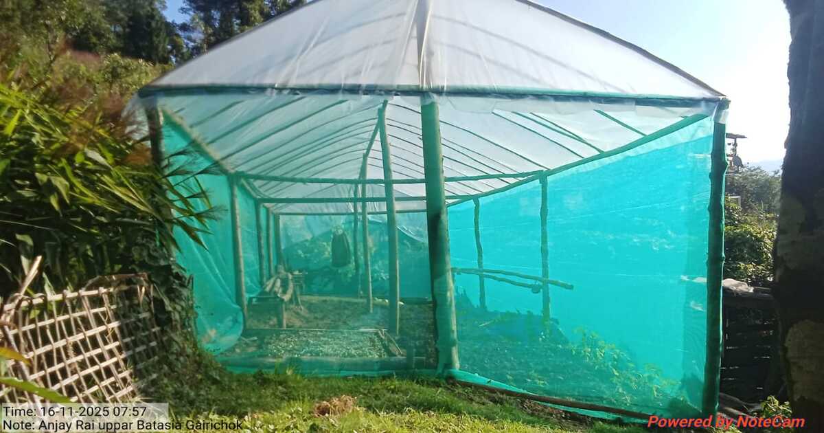 Read more about the article मजुवा ग्राम भेगमा पोली हाउस निर्माण कार्य धमाधम