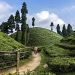 २०२३-२०२४-को रहल बोनस कहिले पाउने ?