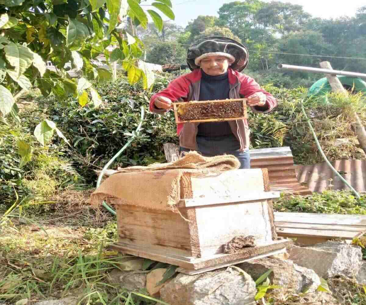 Read more about the article मौरी पालन आय आर्जनको प्रबल स्रोत