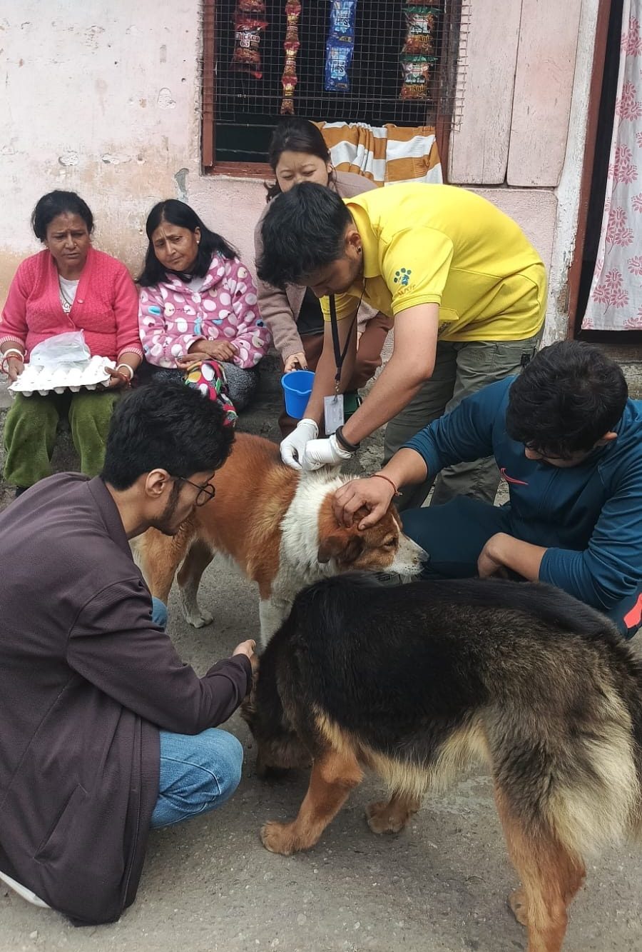 Read more about the article रेबिजमुक्त पहाड़ अन्तर्गत टीकाकरण