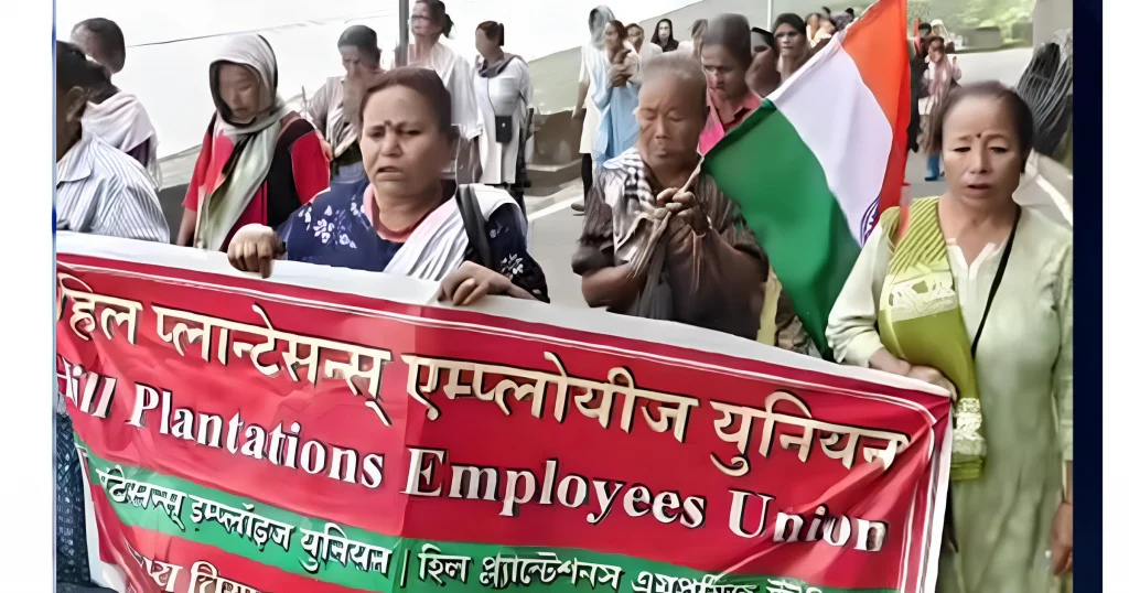 Longview tea workers protest kurseong