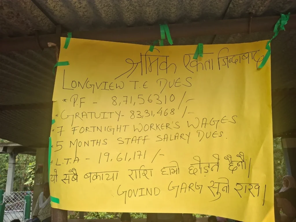 Longview tea workers protest