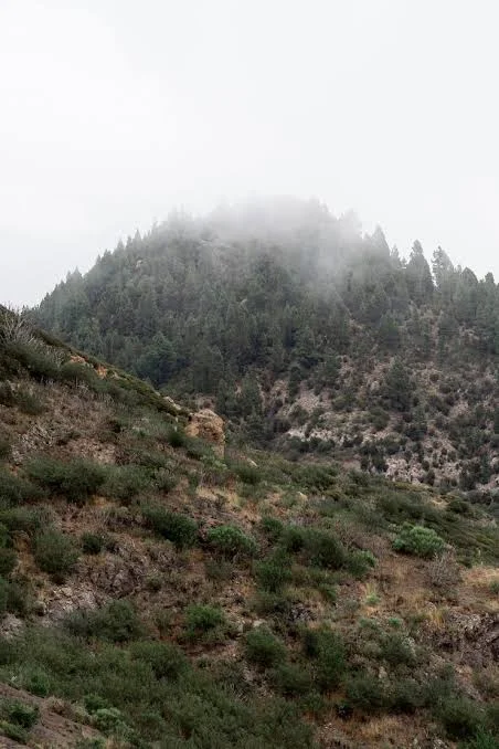 Himachal Pradesh Tourist Car Accident