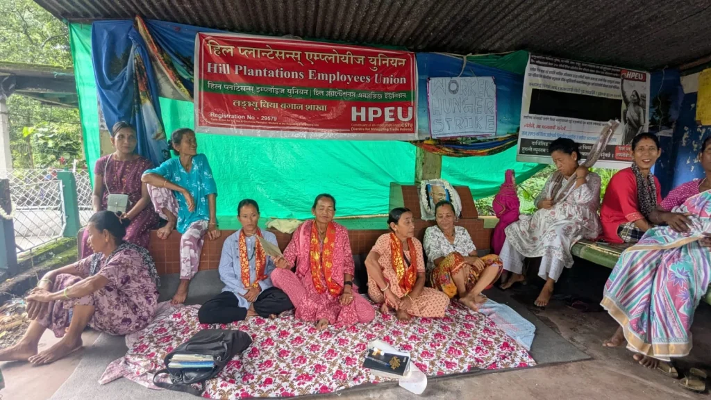 Longview Tea Garden workers protest