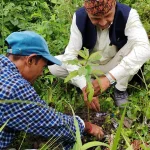 मञ्जु श्री पार्कमा सुवास घिसिङको ९० औं जन्म वार्षिकी सम्पन्न