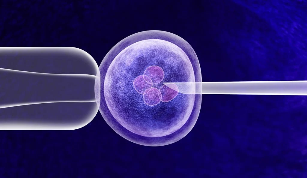 ‘नैतिक प्रजनन स्वास्थ्य सेवाको सुरक्षा’ गर्न केन्द्रले IVF नियम बनायो कडा
