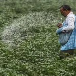 भारतले बनाउँदै छ ७.२४ लाख मेट्रिक टन ग्रीन अमोनिया खरिद गर्ने योजना, हुनेछ ग्रीन युरियाको उत्पादन