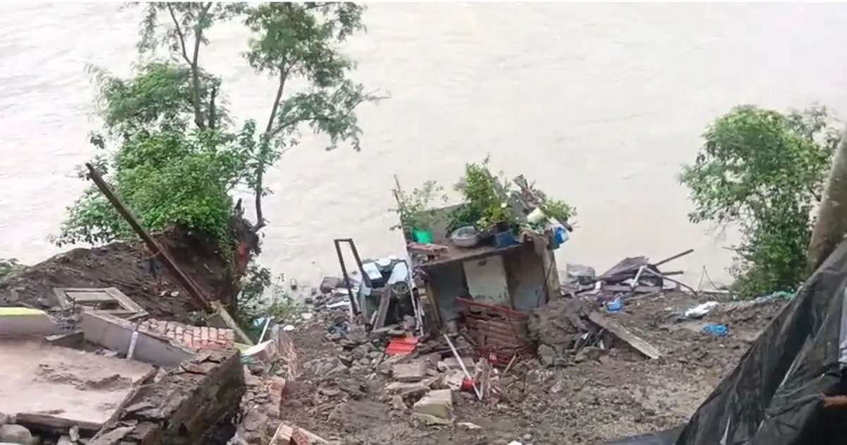 टिस्टाको बढ्दो कटानले टिस्टा बजार संकटमा