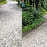 रिसाप-6 माइल सडक निर्माणमा धाँधली, 1 करोड 19 लाखको योजना