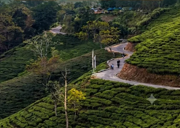 रोहिणीको गोल पाठ डाँड़ा मिनि कन्याम