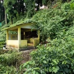 समय परिवर्तनसँगै अस्तित्व संकटमा खरसाङका ऐतिहासिक स्थान: पौवा र धाराको वर्तमान अवस्था